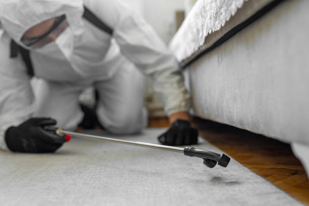 Professional Bed Bug Control technician working in American Falls, ID